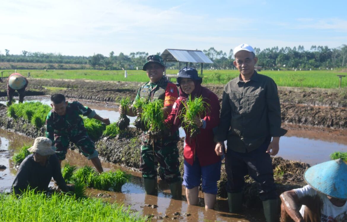 Dandim 1014/Pbn Letkol Inf Makin S.Sos., M.I.P. bersama Kabid PSP Ibu Noreti, Kabid Tanaman Pangan Bapak H. Iskandar