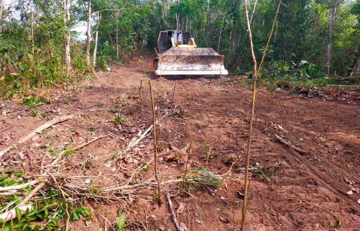 Pembukaan Jalan Baru Oleh TNI Dukung Aksesibilitas dan Perekonomian Desa