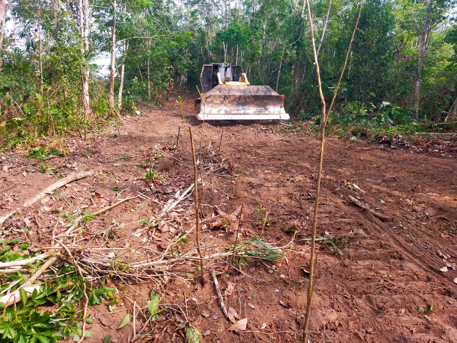 Pembukaan Jalan Baru Oleh TNI Dukung Aksesibilitas dan Perekonomian Desa