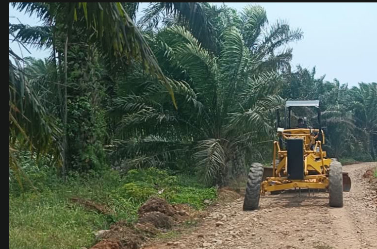 Membangun Akses Baru: TMMD ke-130 Tingkatkan Konektivitas di Bengkulu Membangun Akses Baru: TMMD ke-130 Tingkatkan Konektivitas di Bengkulu