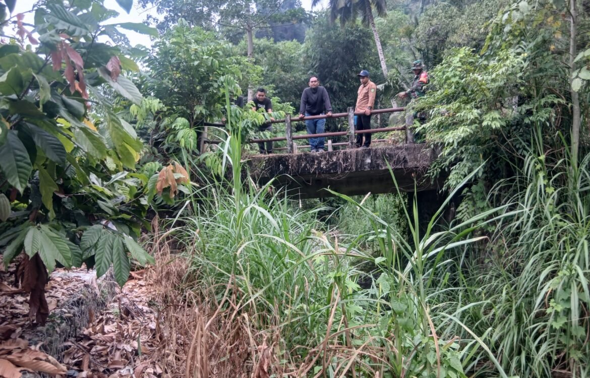 Jembatan Baru di Kelapa Dua: Mengubah Wajah Ekonomi Masyarakat Setempat
