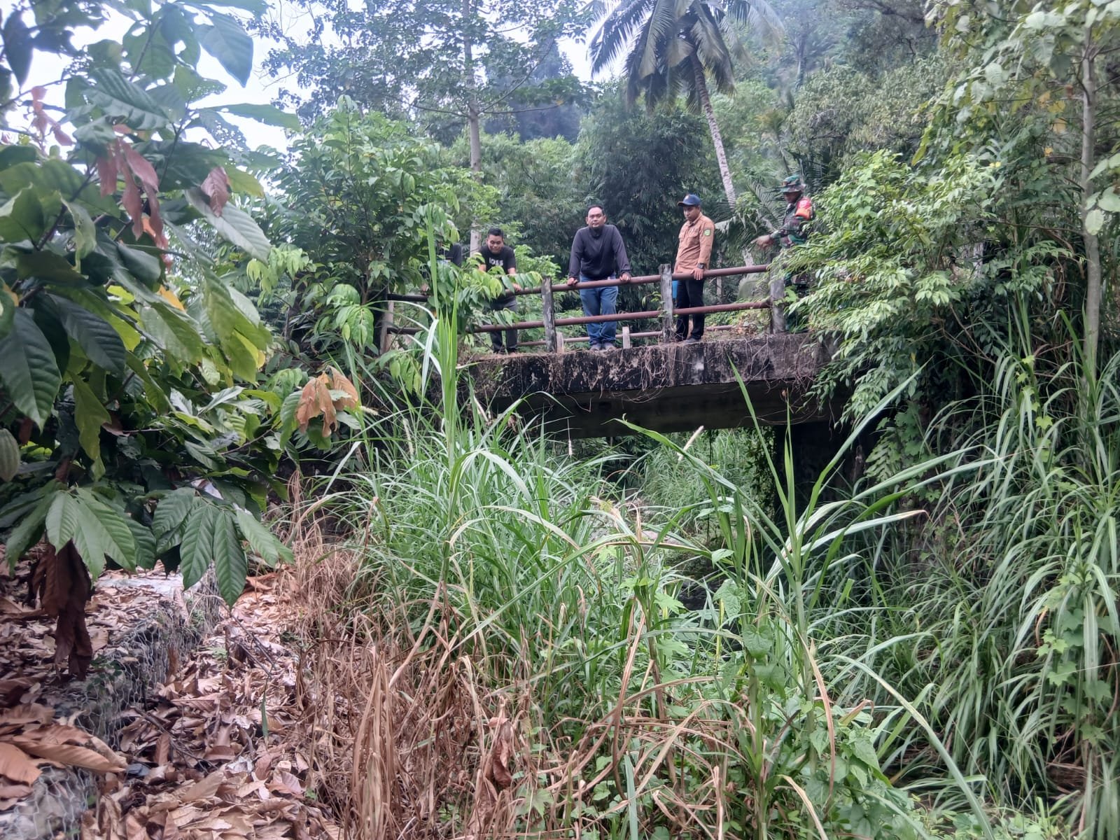 Jembatan Baru di Kelapa Dua: Mengubah Wajah Ekonomi Masyarakat Setempat